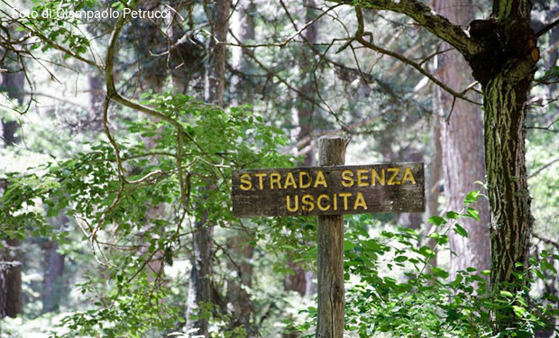  A Roma un “Climate Pride” con 70 organizzazioni per la giustizia climatica e sociale
